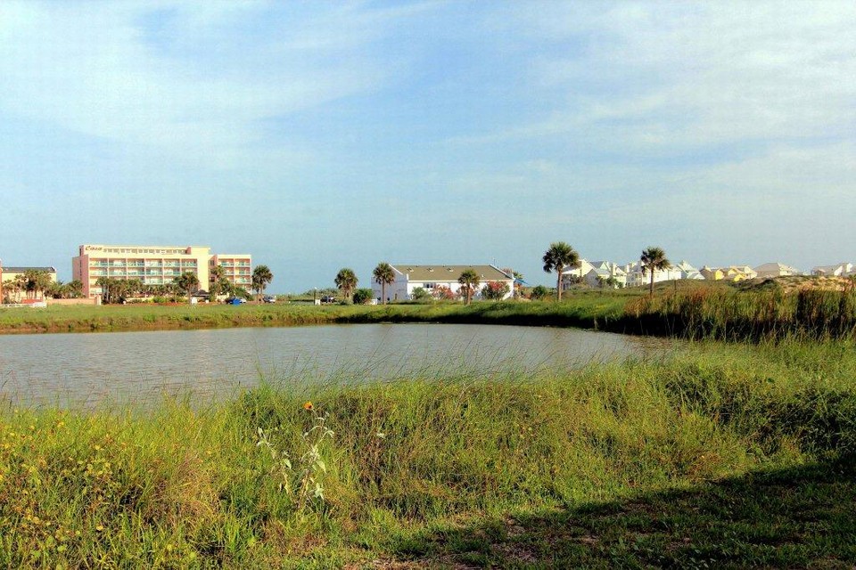 pond